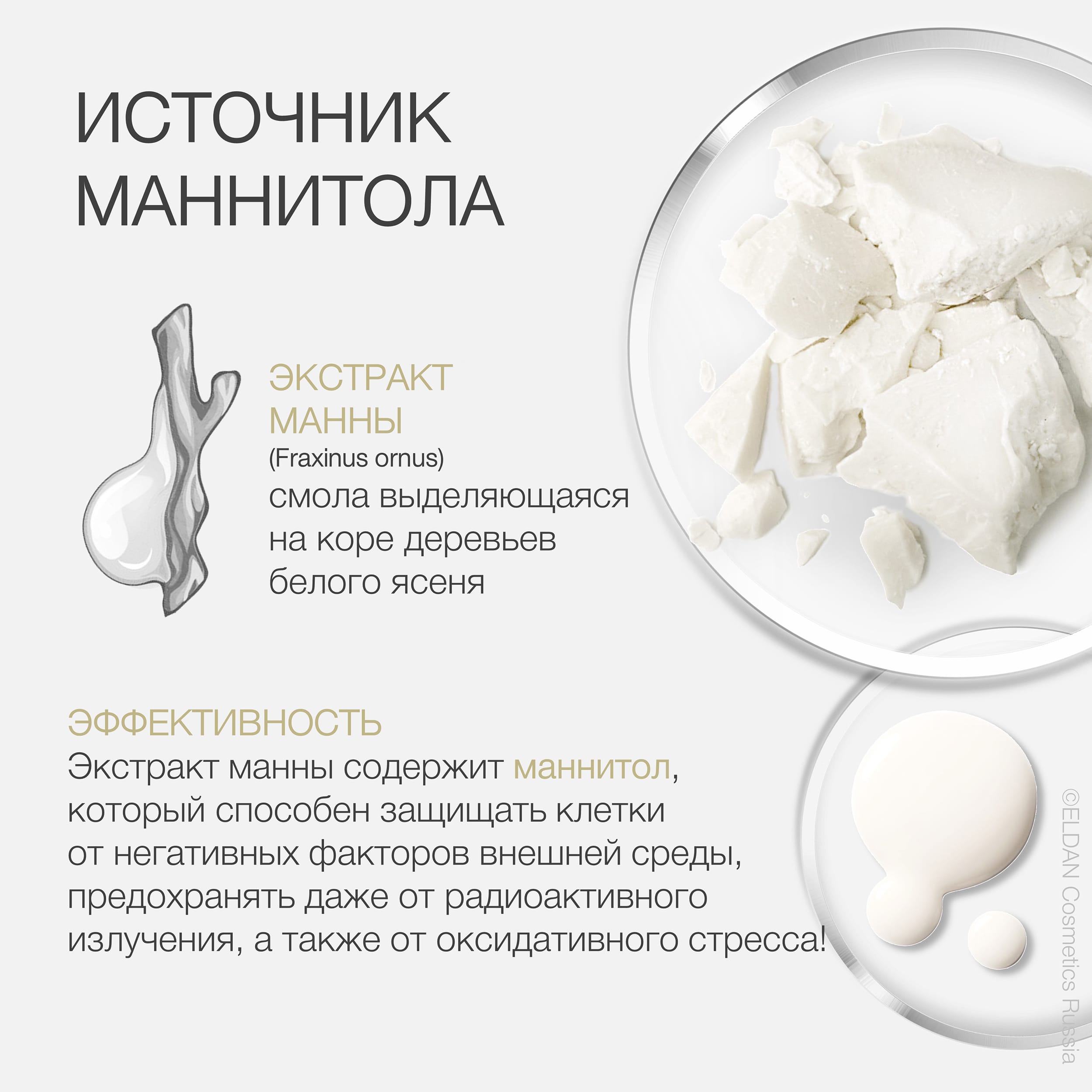 Пост маннитол (манна) 3.jpg